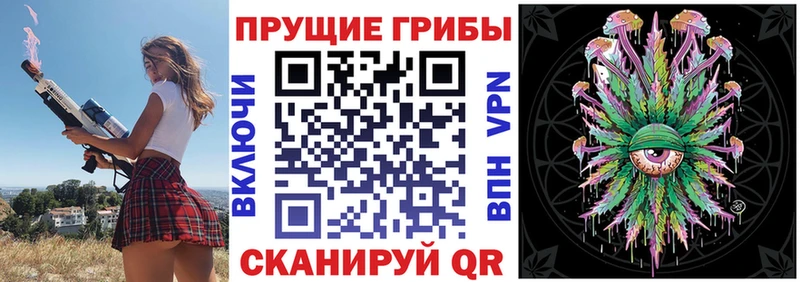 купить   Тетюши  Псилоцибиновые грибы Cubensis 